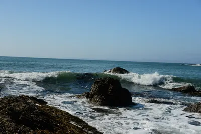 DSC_2658 (Large).JPG